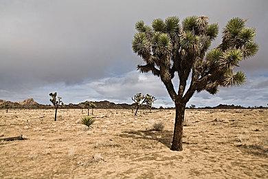 《生化危机1》粉丝重制版新演示 Unity引擎打造