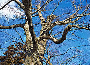 VR游戏《迷雾之地》预告 登陆PSVR2和Steam